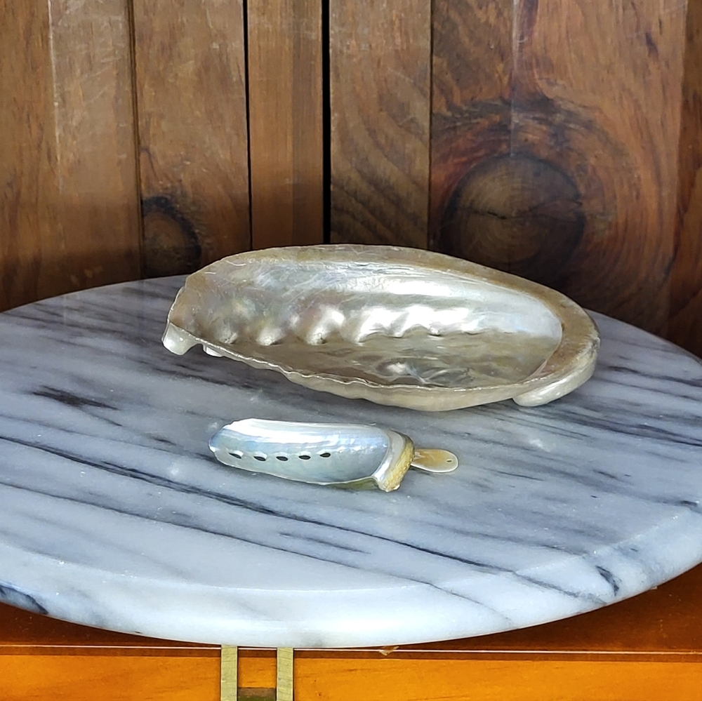 Iridescent Abalone Shell Pair - Picture 7 of 16